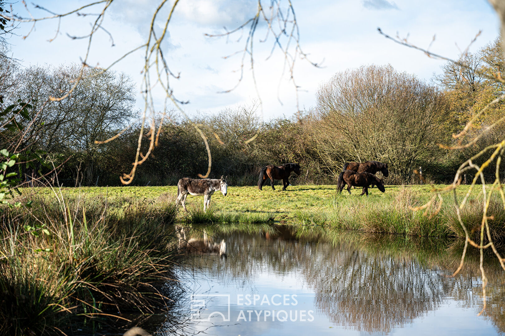 Ancien Moulin rénové en bien d’exception