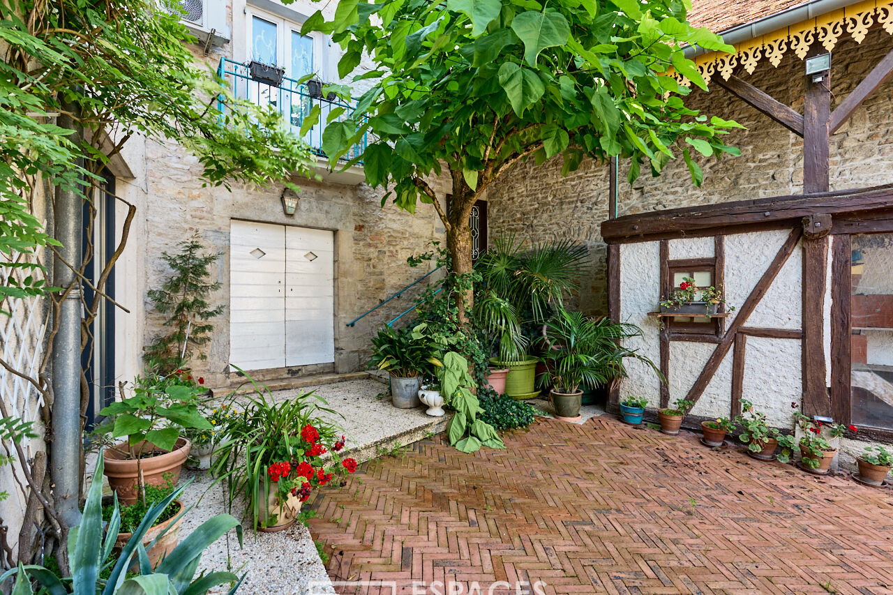 Village house with independent apartment and professional premises