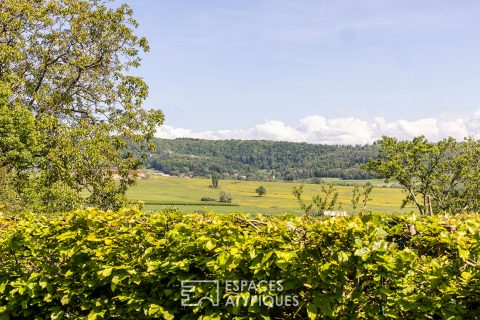Character house with swimming pool near Château-Chalon