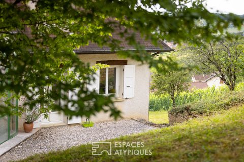 House with its swimming pool and its breathtaking view of the Arboisian vineyard