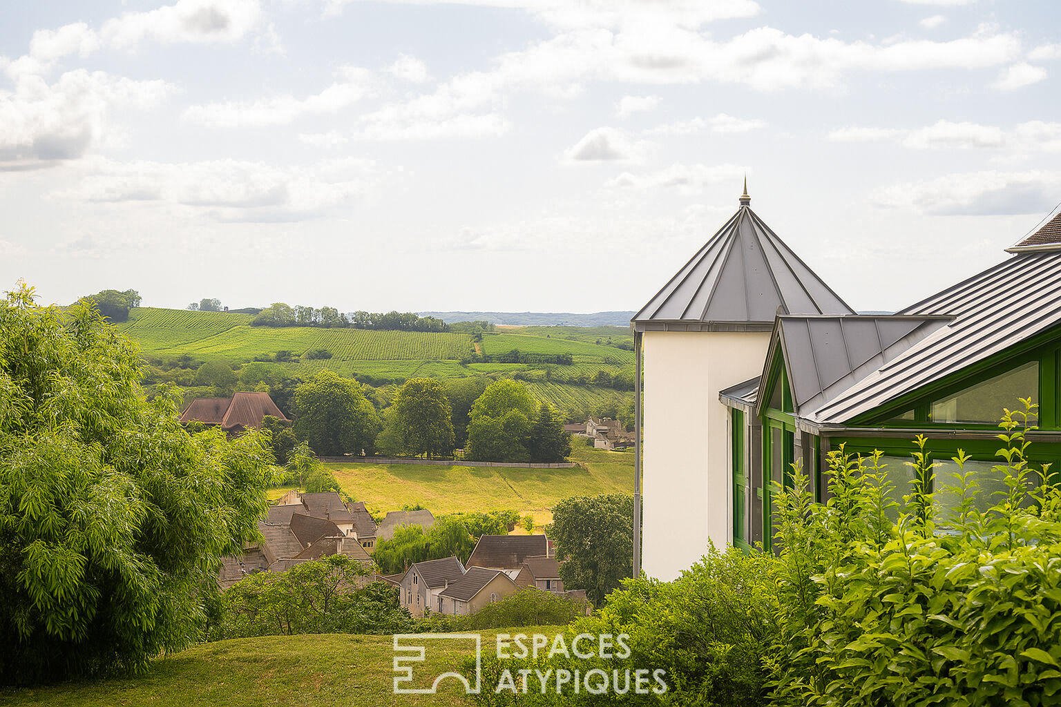 House with its swimming pool and its breathtaking view of the Arboisian vineyard