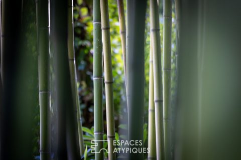 Maison de la quiétude, vue panoramique, jardin paysagé et piscine