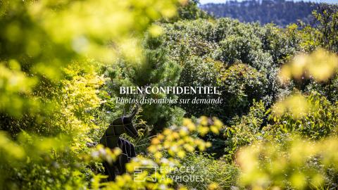 Propriété d&rsquo;exception avec sa vue panoramique