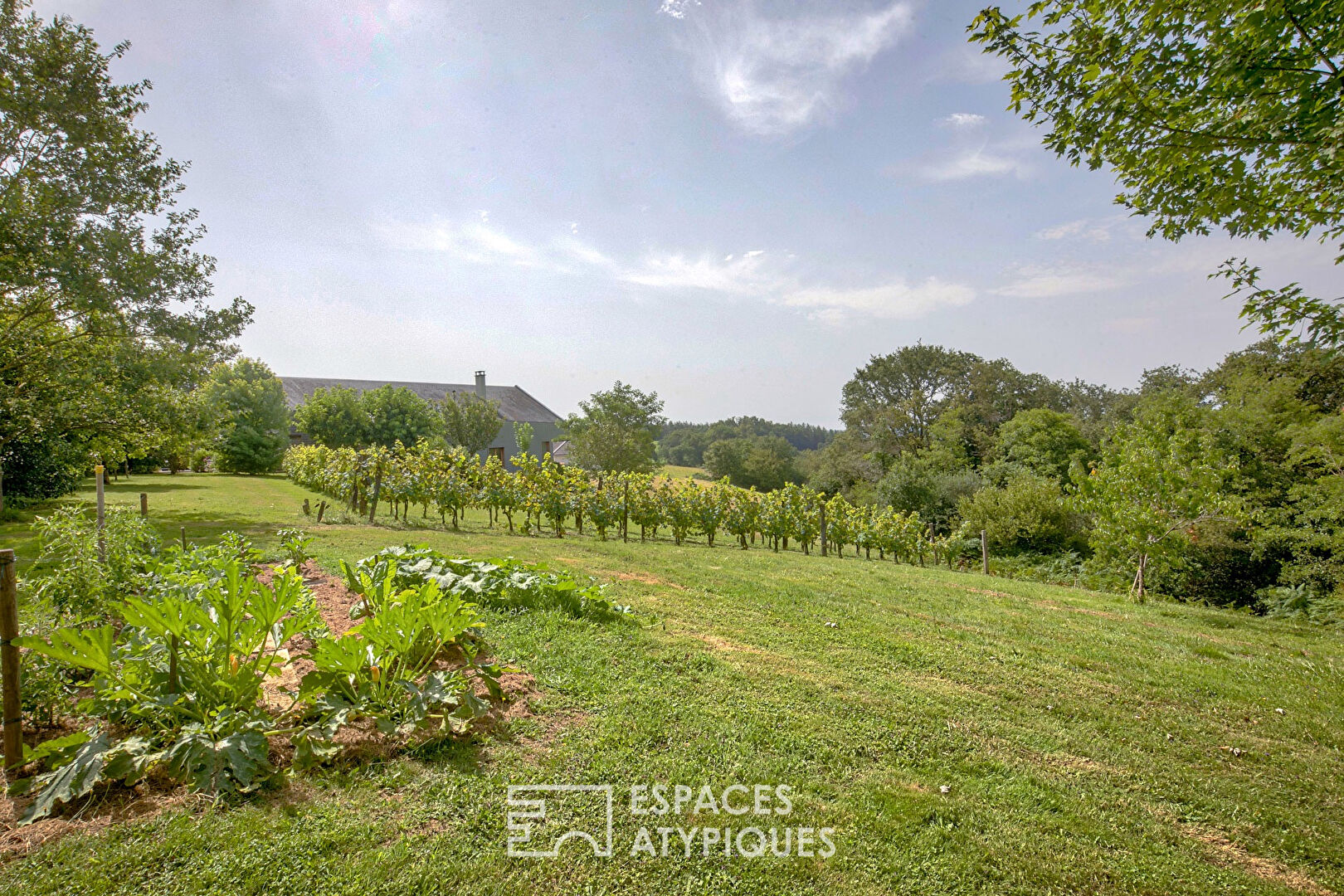 Architect’s house in a bucolic setting