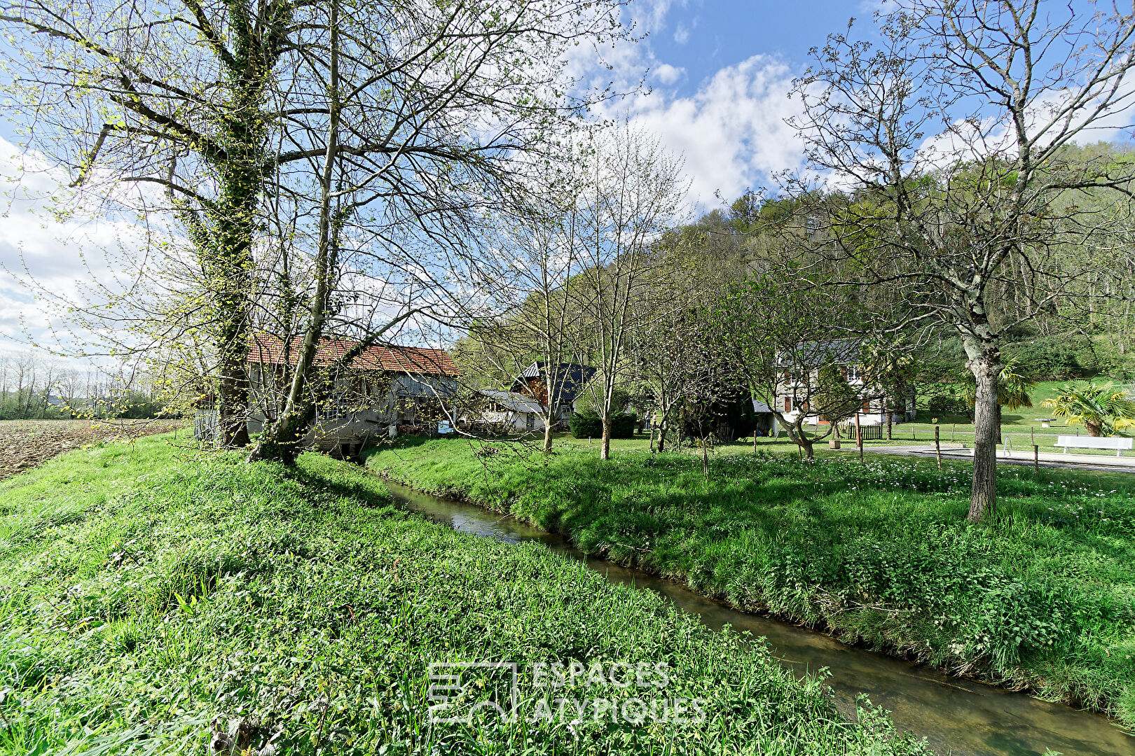 Old mill in a green setting
