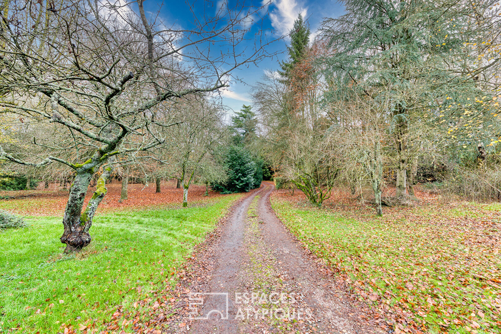 Family property in a green setting