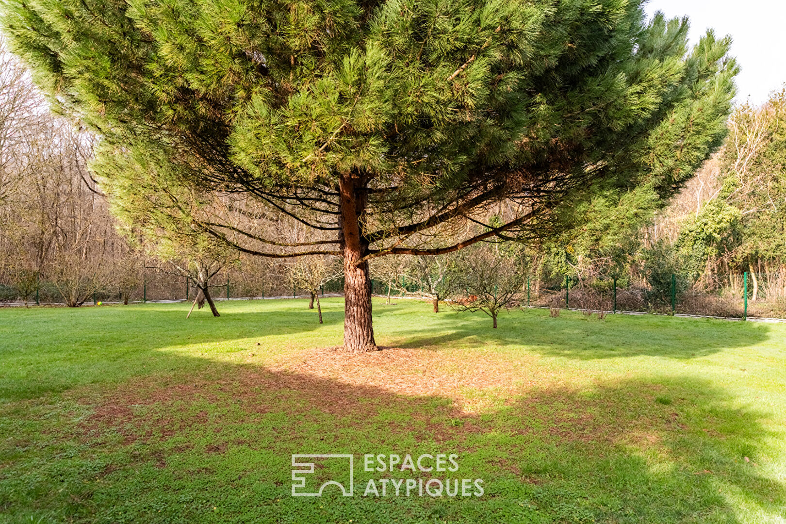 Propriété singulière avec son jardin arboré