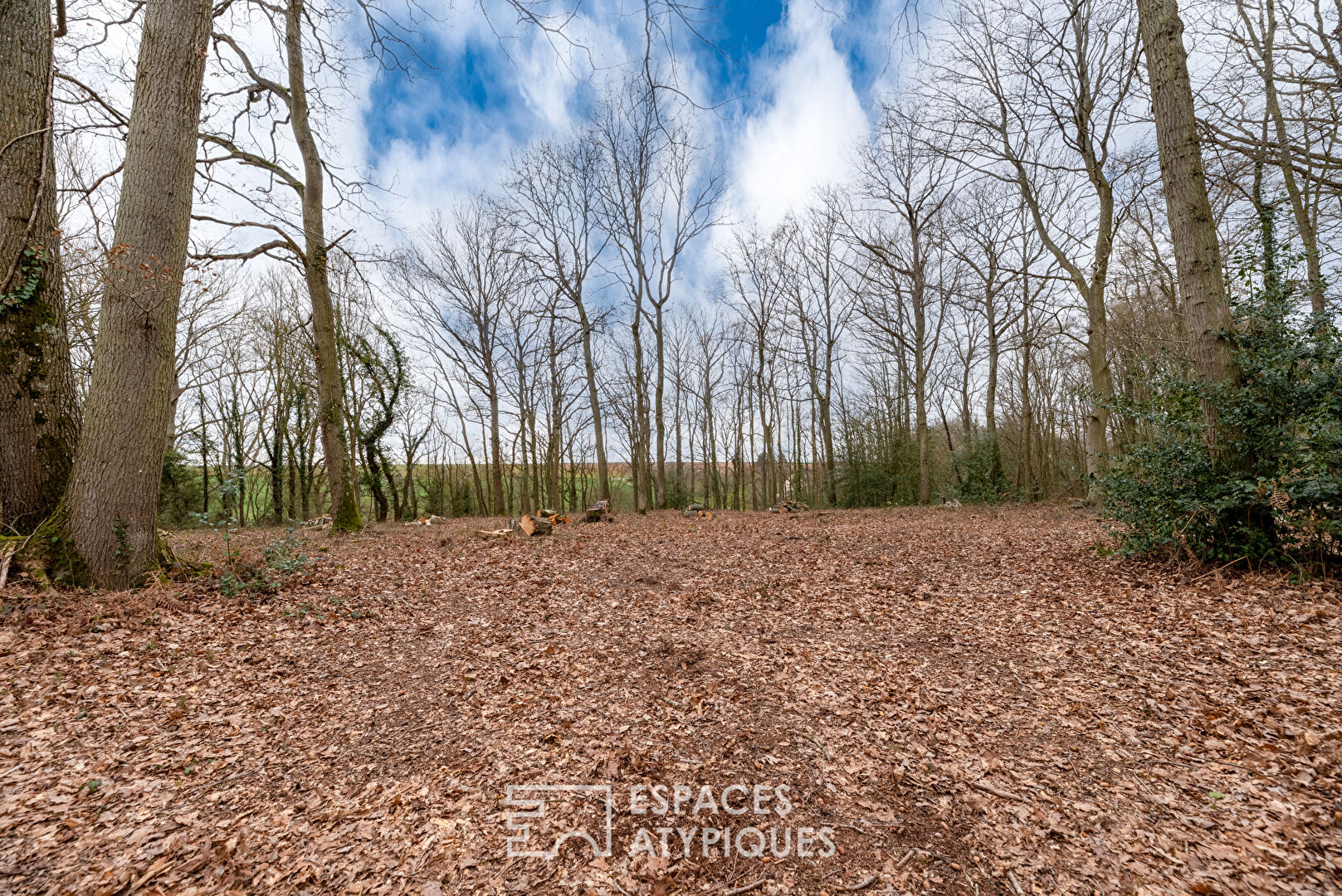 Rare building land with trees in the heart of the village