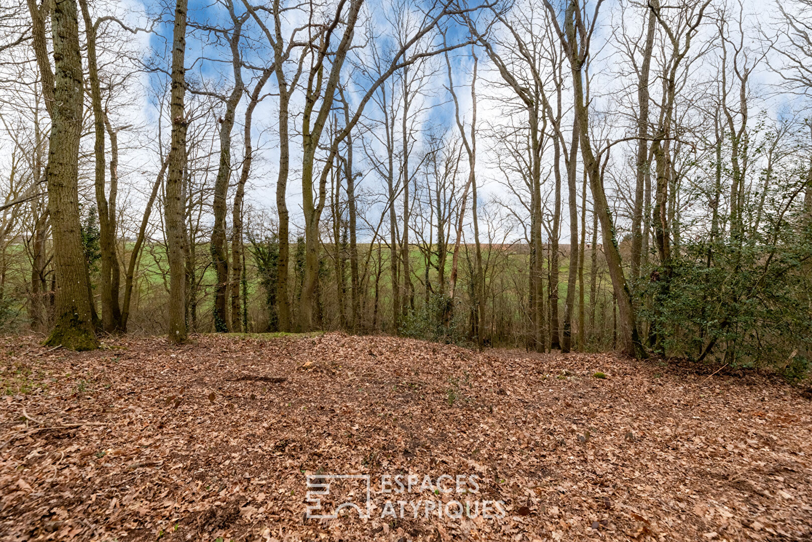 Terrain constructible arboré en coeur de village