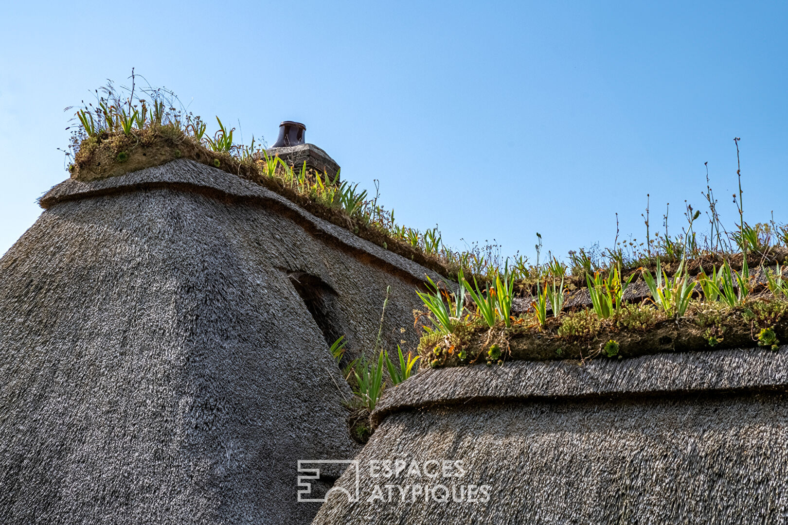 Characterful cottage in the Normandy countryside