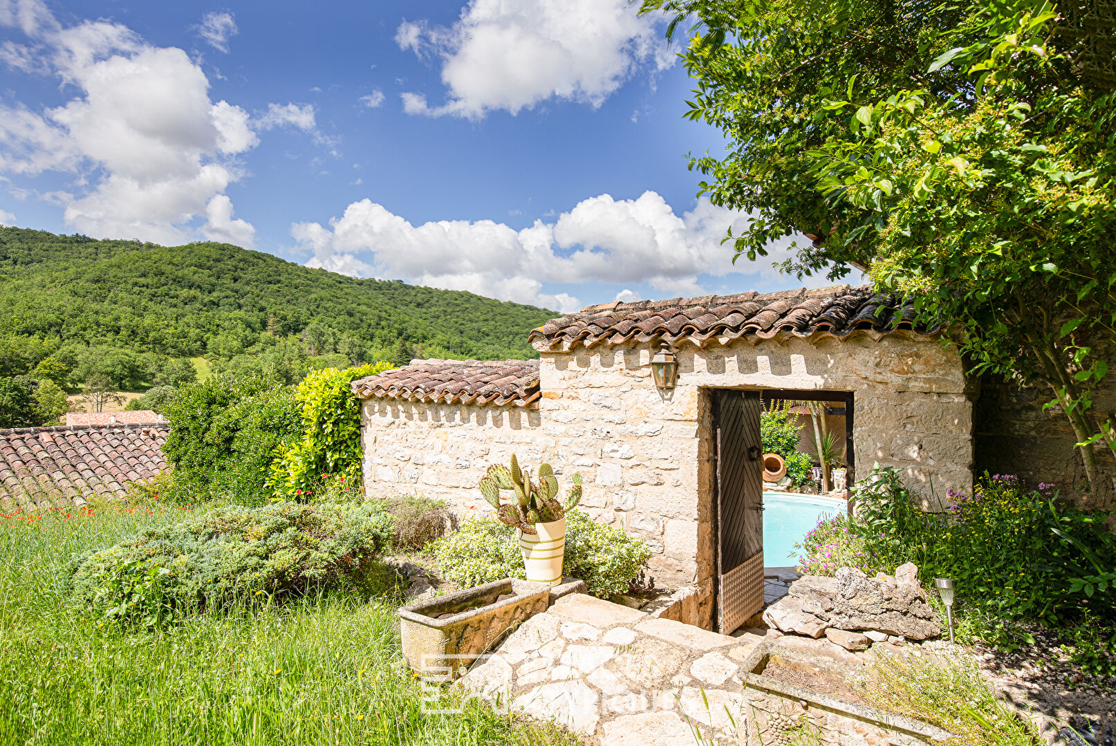 Maison(s) avec terrasse et piscine au cœur de Bruniquel 