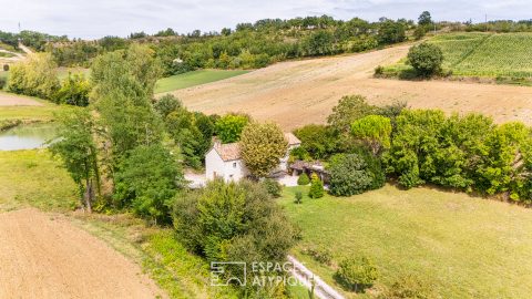 Charming house with gîte in Quercy