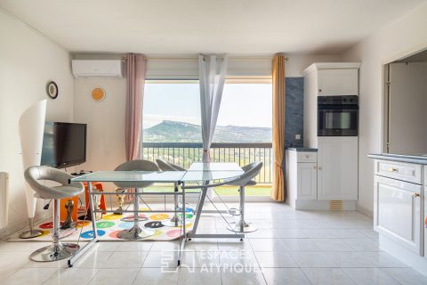Appartement avec vue