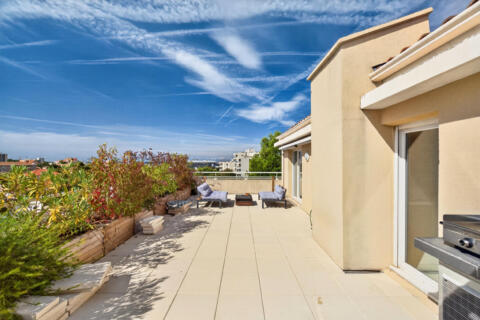 Dernier étage avec terrasse végétalisée et vue dégagée