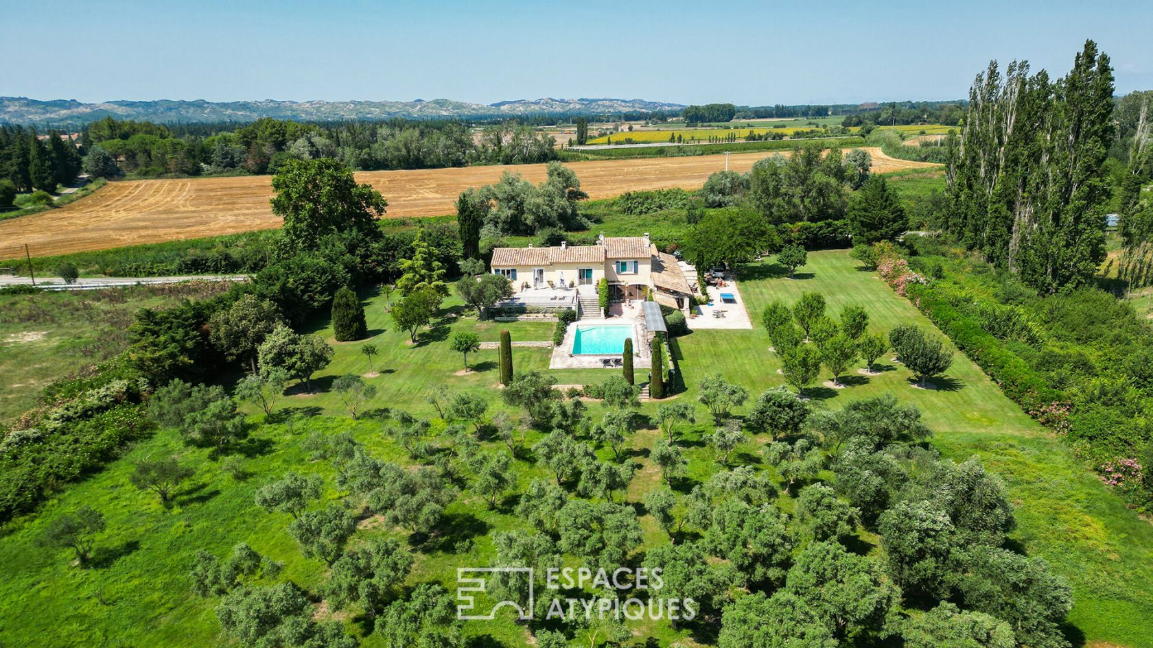 Maison provençale et son oliveraie