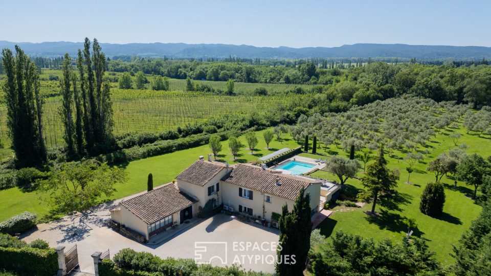Maison provençale et son oliveraie