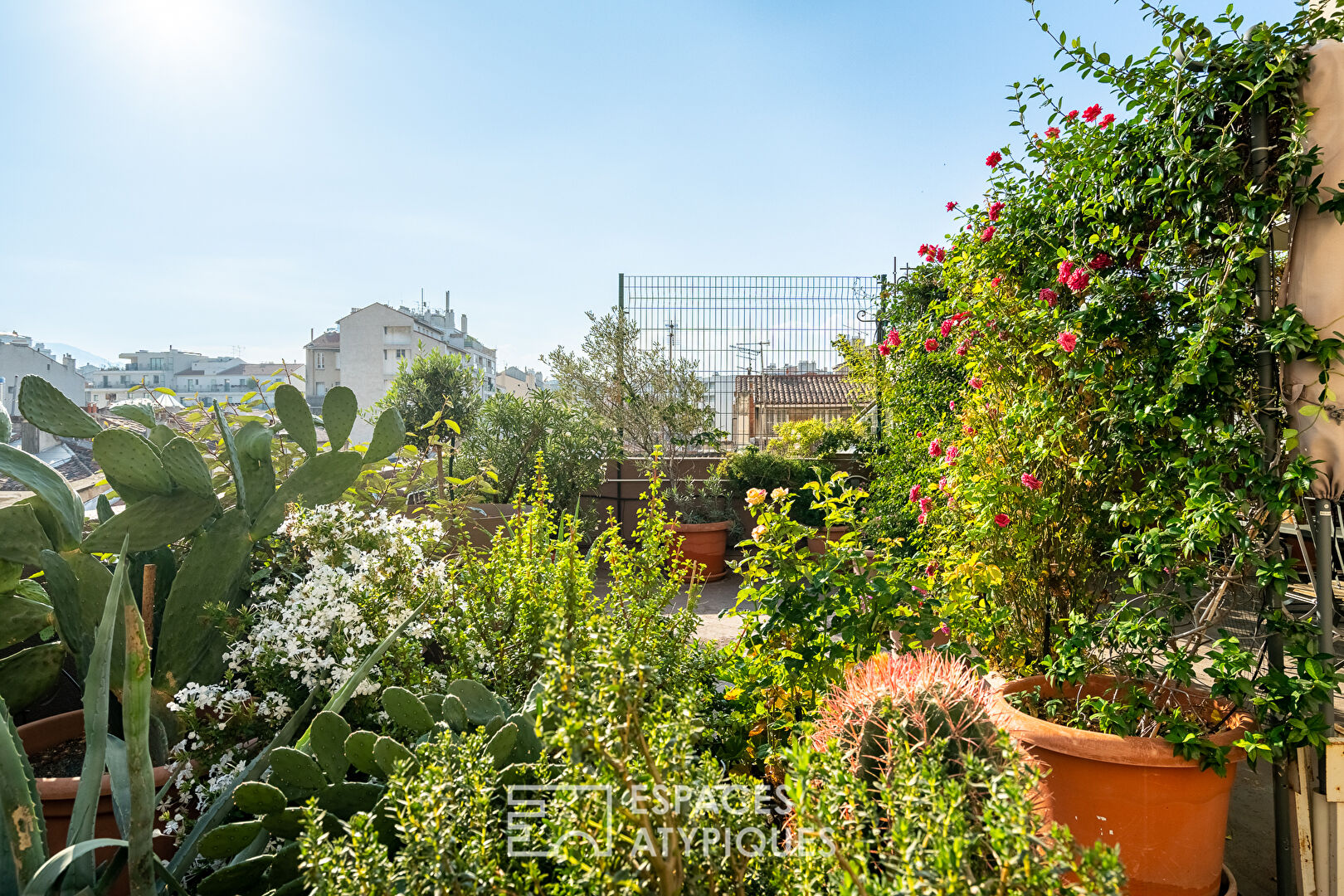 Apartment with terraces and open view