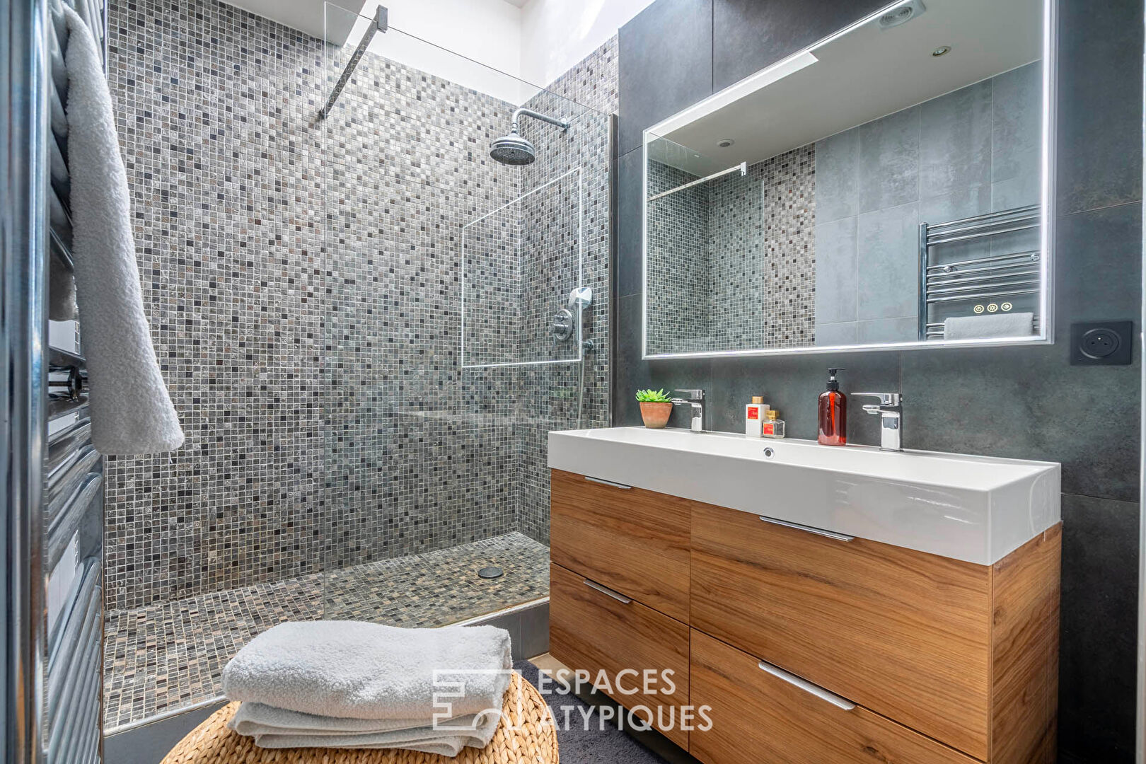 Loft with glass roof and rooftop a stone’s throw from the banks of the Marne
