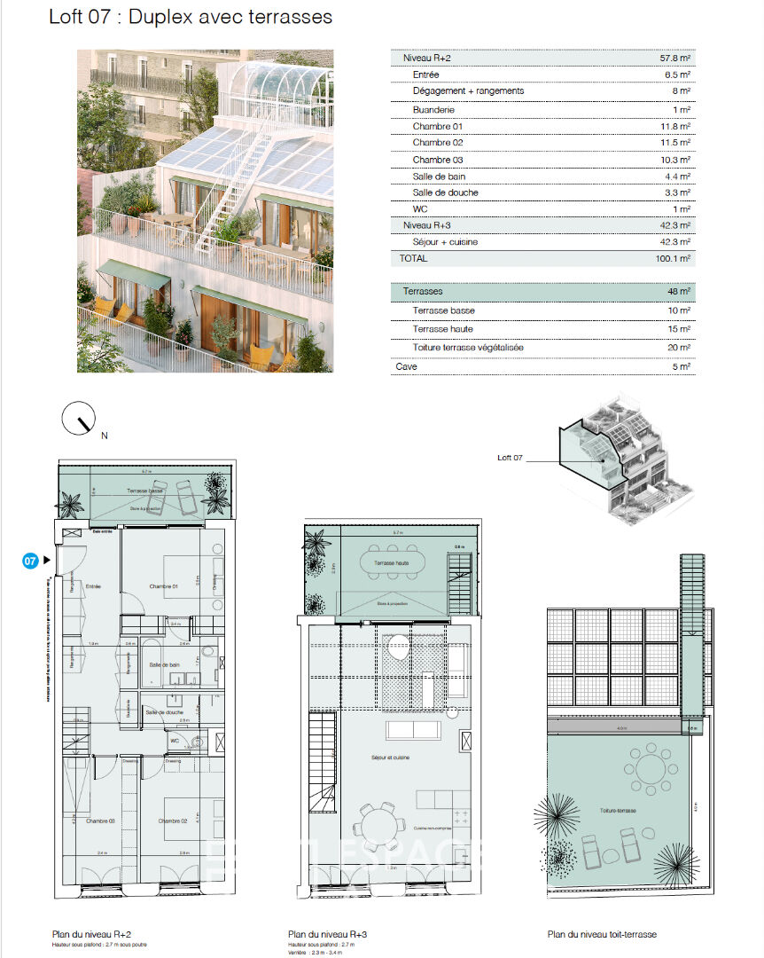 Duplex with terrace and green roof