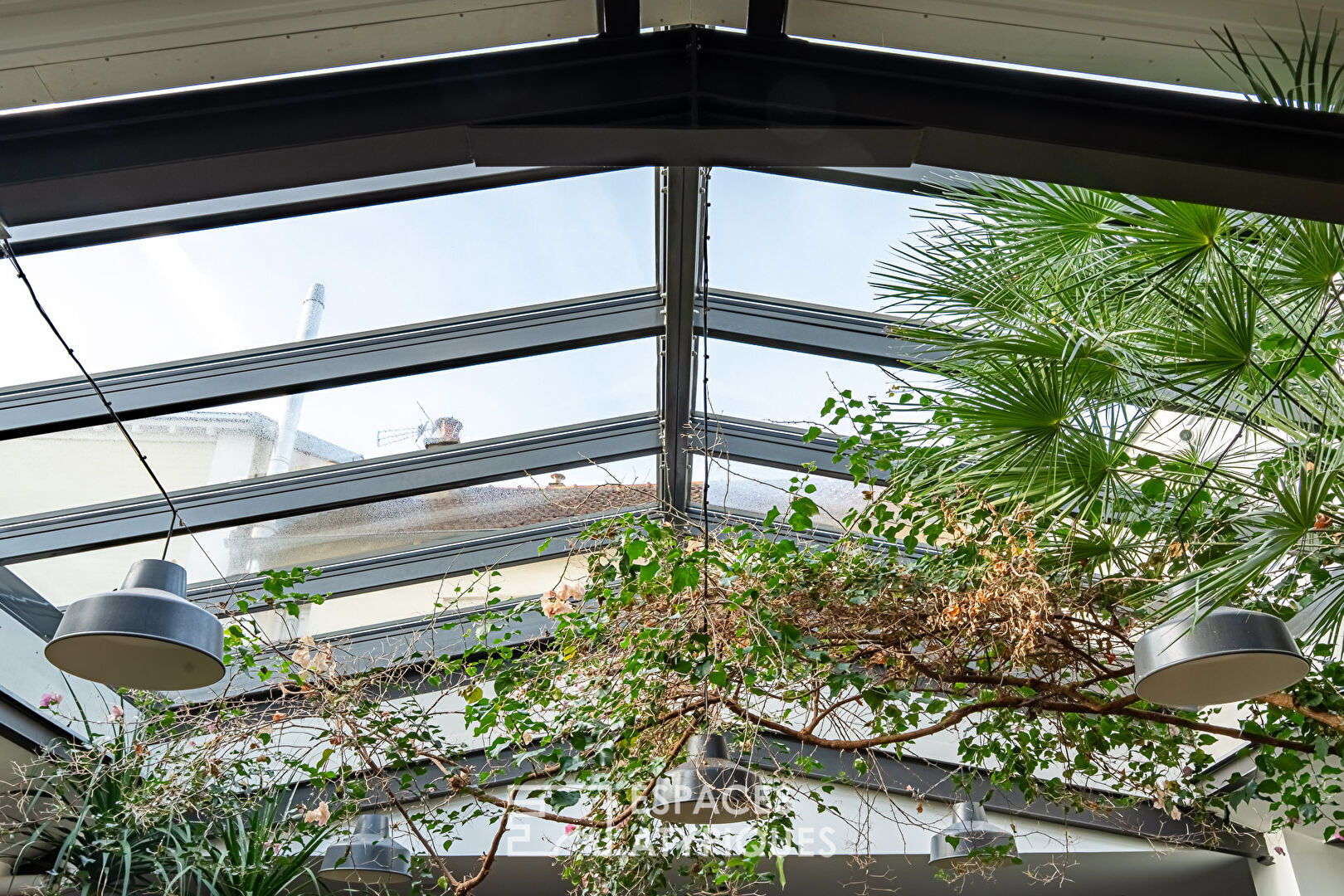 Maison-loft aux volumes exceptionnels, avec verrière et végétation intérieure