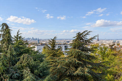 Appartement contemporain avec terrasse et vue sur la Tour Eiffel