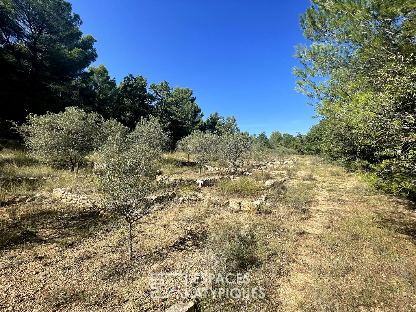 House on land of 8000 m2 including 4000 m2 buildable