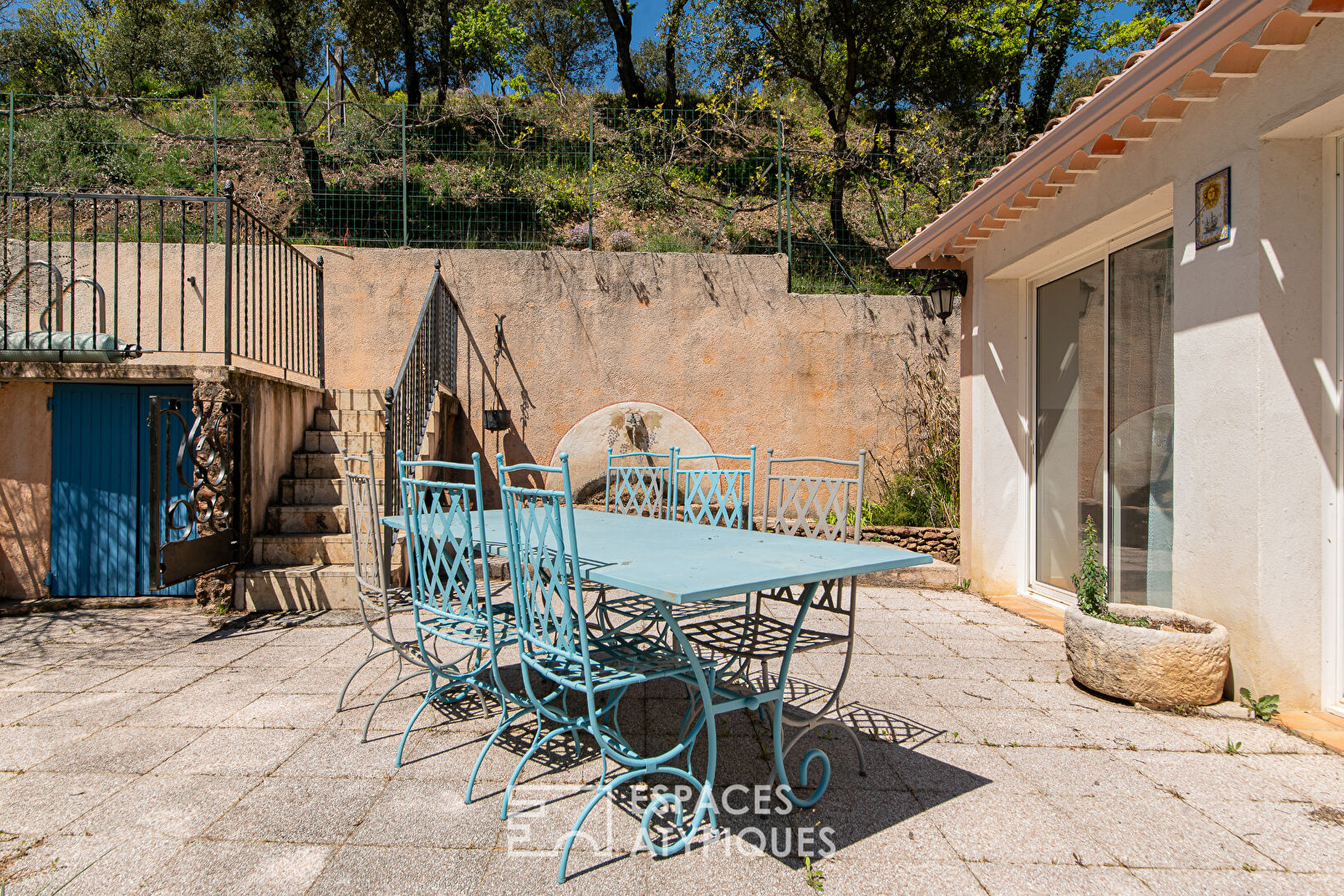 Singular Property – Family and Projects