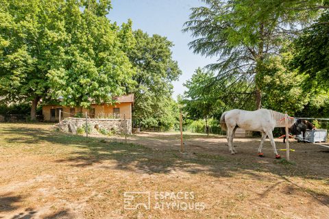 Propriété en pierres avec accueil équestre – 212 m² + dépendances – 3 800 m² de terrain