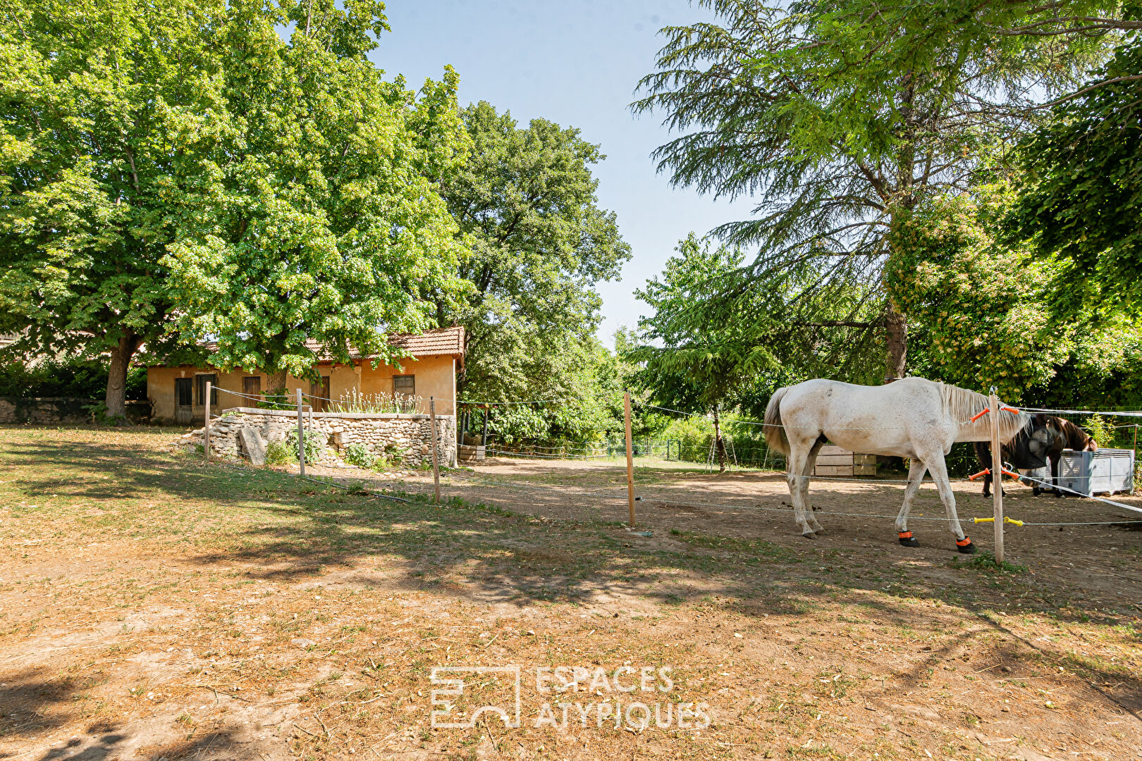 Propriété en pierres avec accueil équestre – 212 m² + dépendances – 3 800 m² de terrain