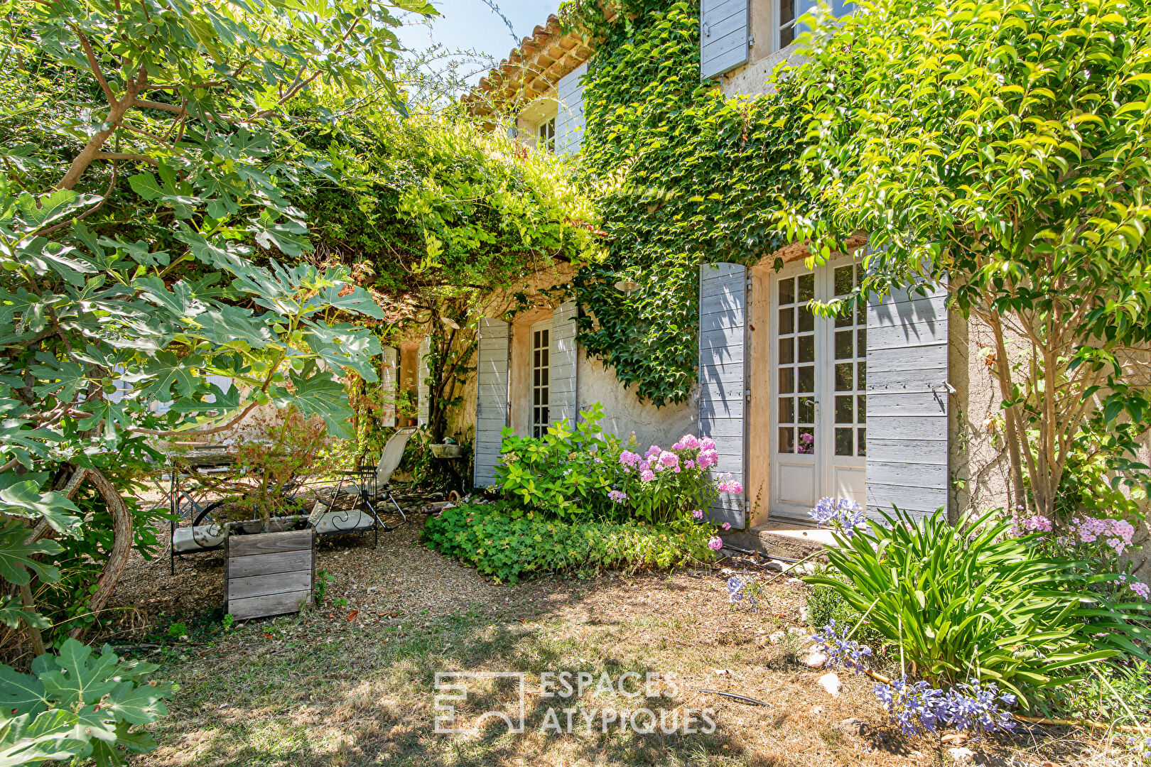 Charming property with gîte, 8600 sqm wooded park and swimming pool