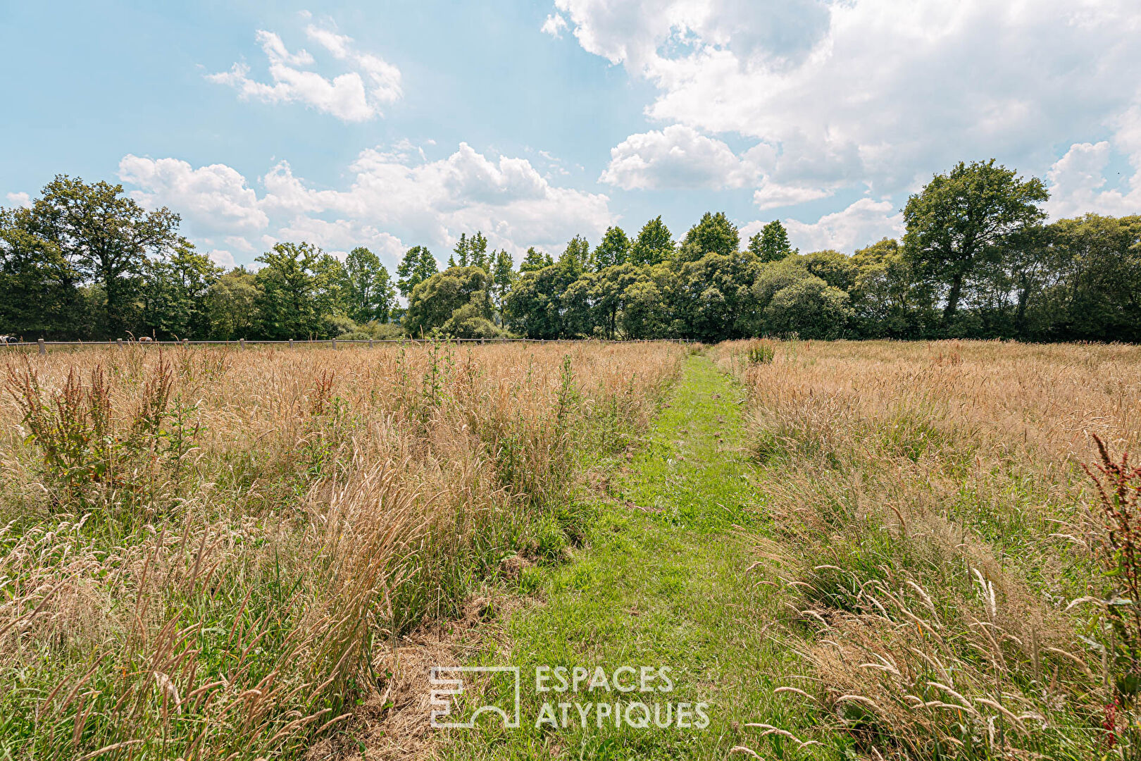 Estate with gites in the Brocéliande region on 6 hectares