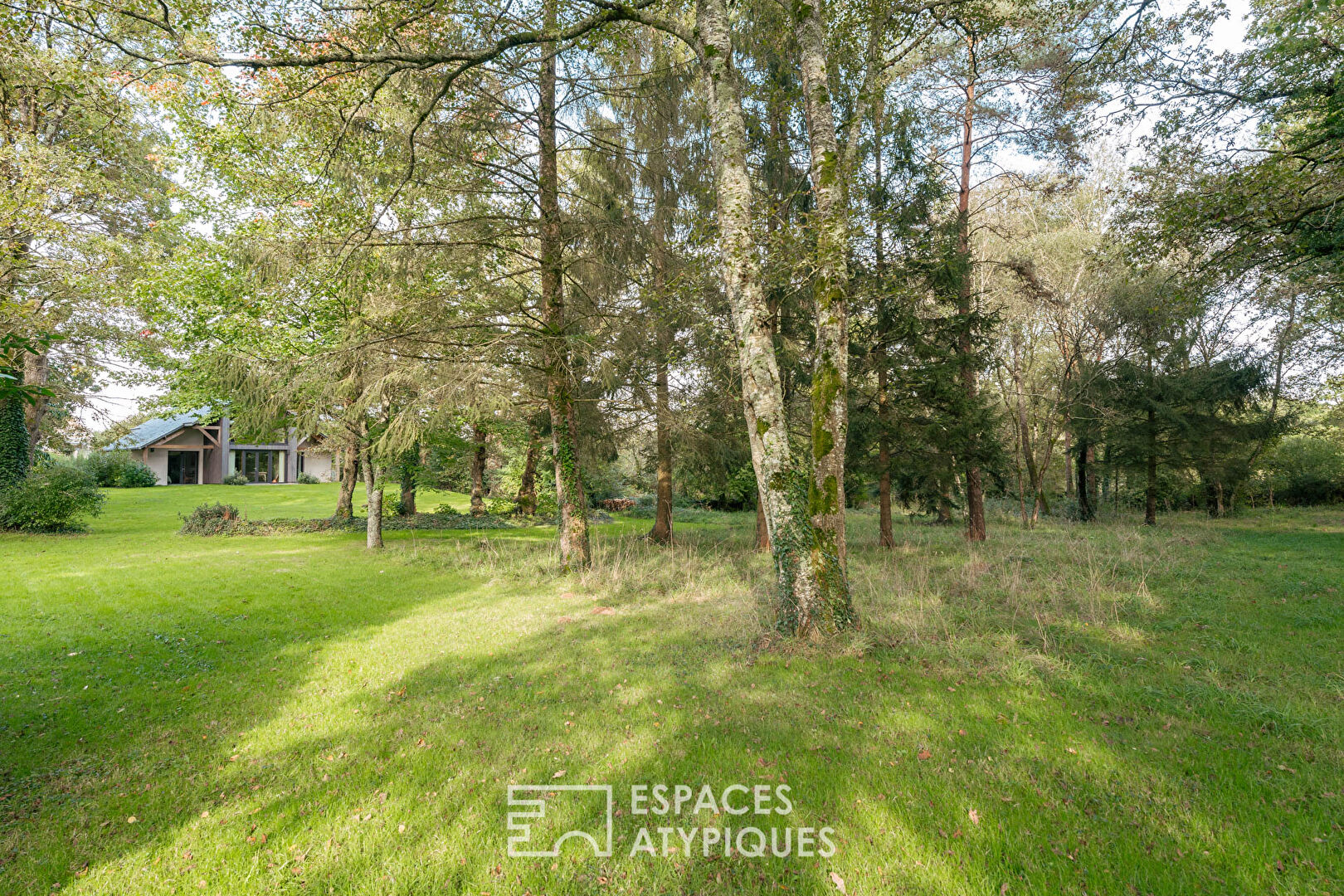 Set of two houses in its wooded park