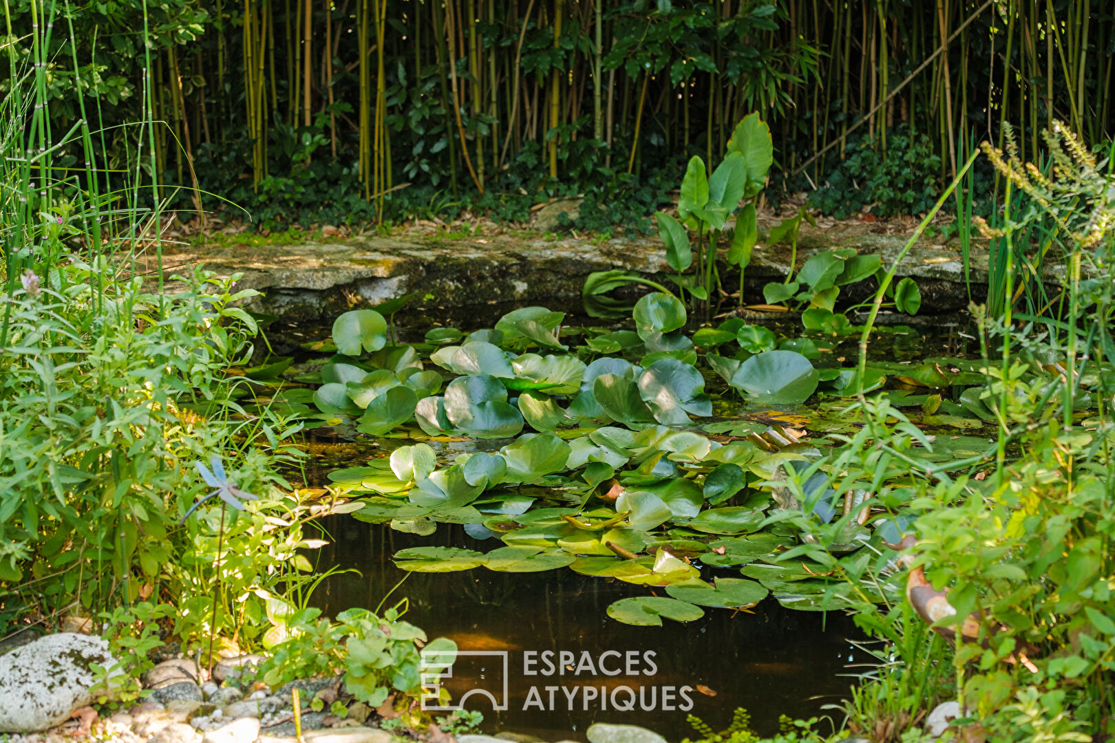 Maison du XVe siècle et son jardin poétique