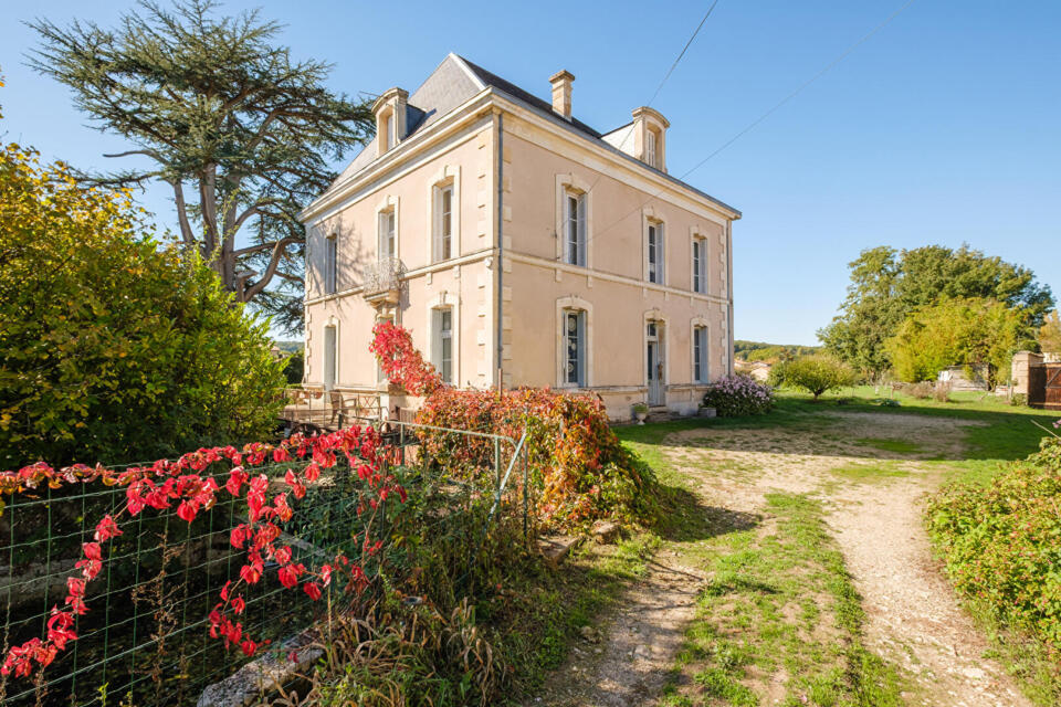 Ancienne chamoiserie au bord de la Sèvre Niortaise