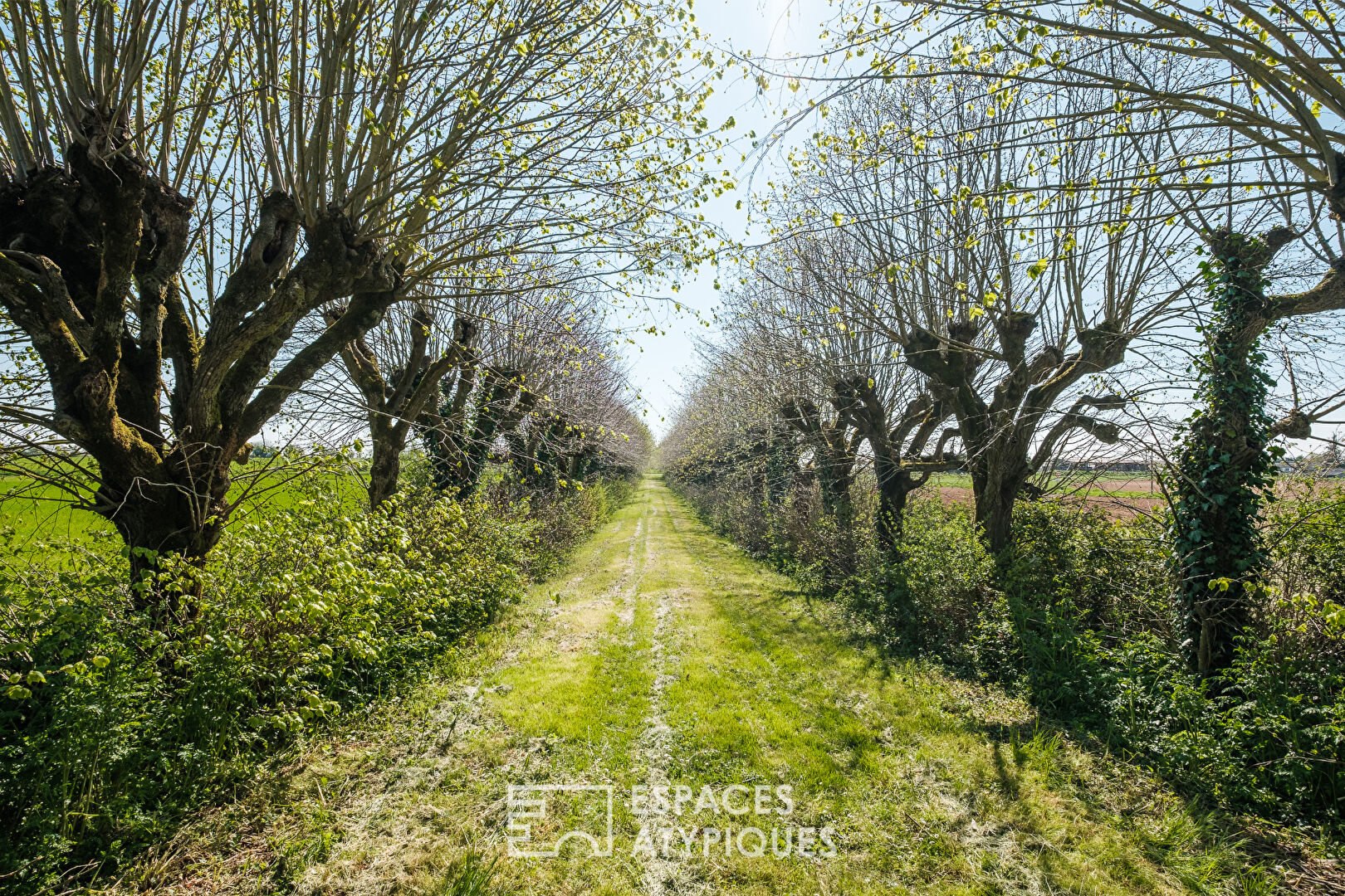 Domaine de caractère dans un écrin de verdure