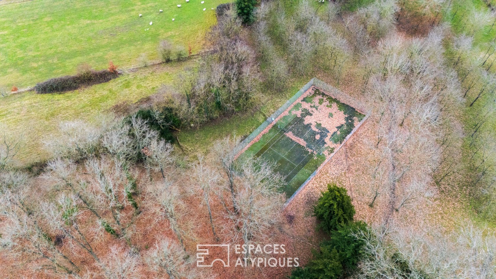 Propriété d&rsquo;exception avec deux maisons et parc au nord de la Vienne