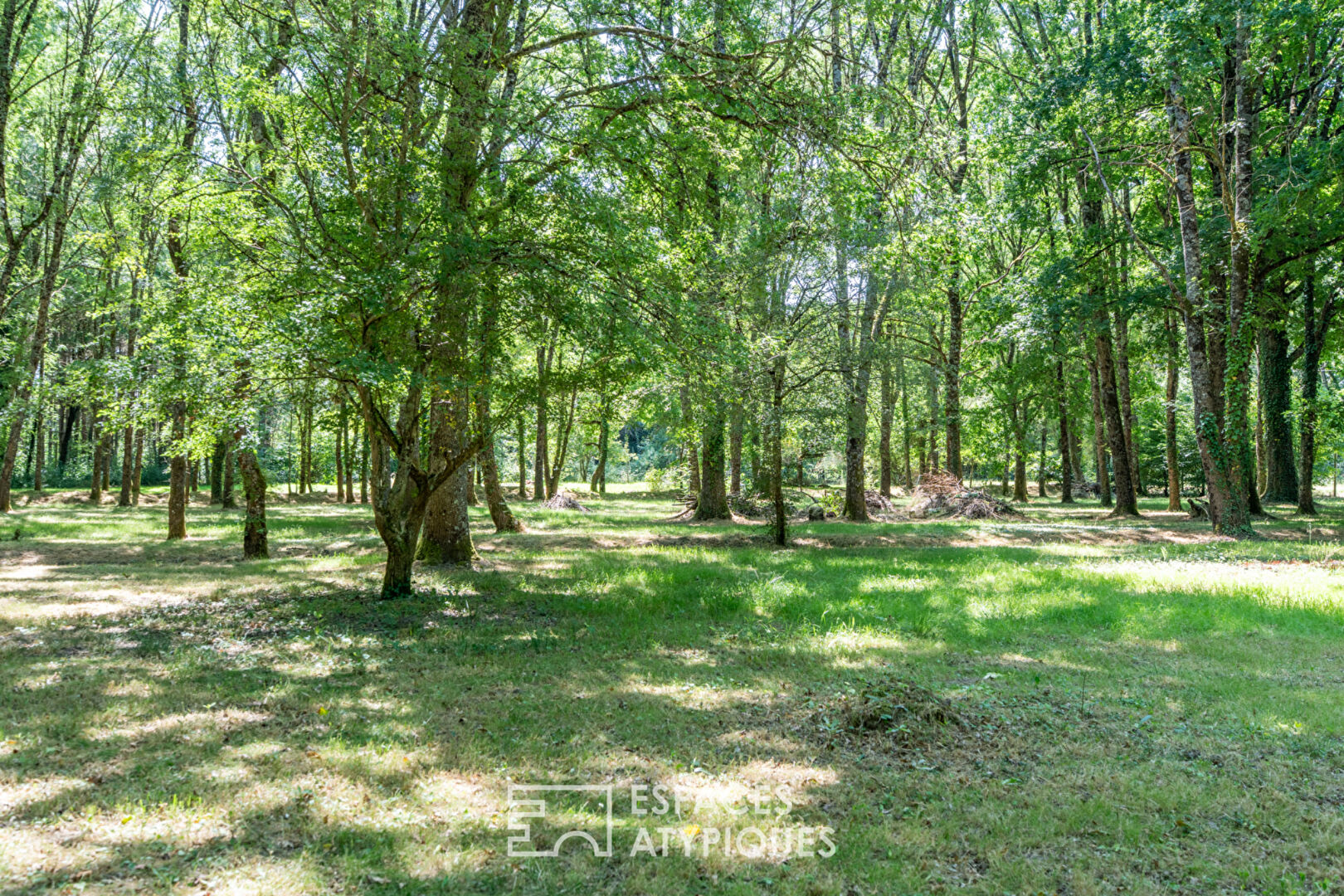 Charmante maison solognote en coeur de forêt