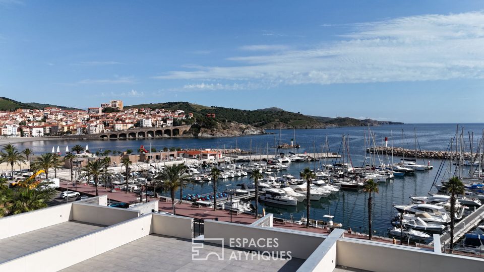 Appartement face à la mer de banyuls-sur-mer avec jardin privatif