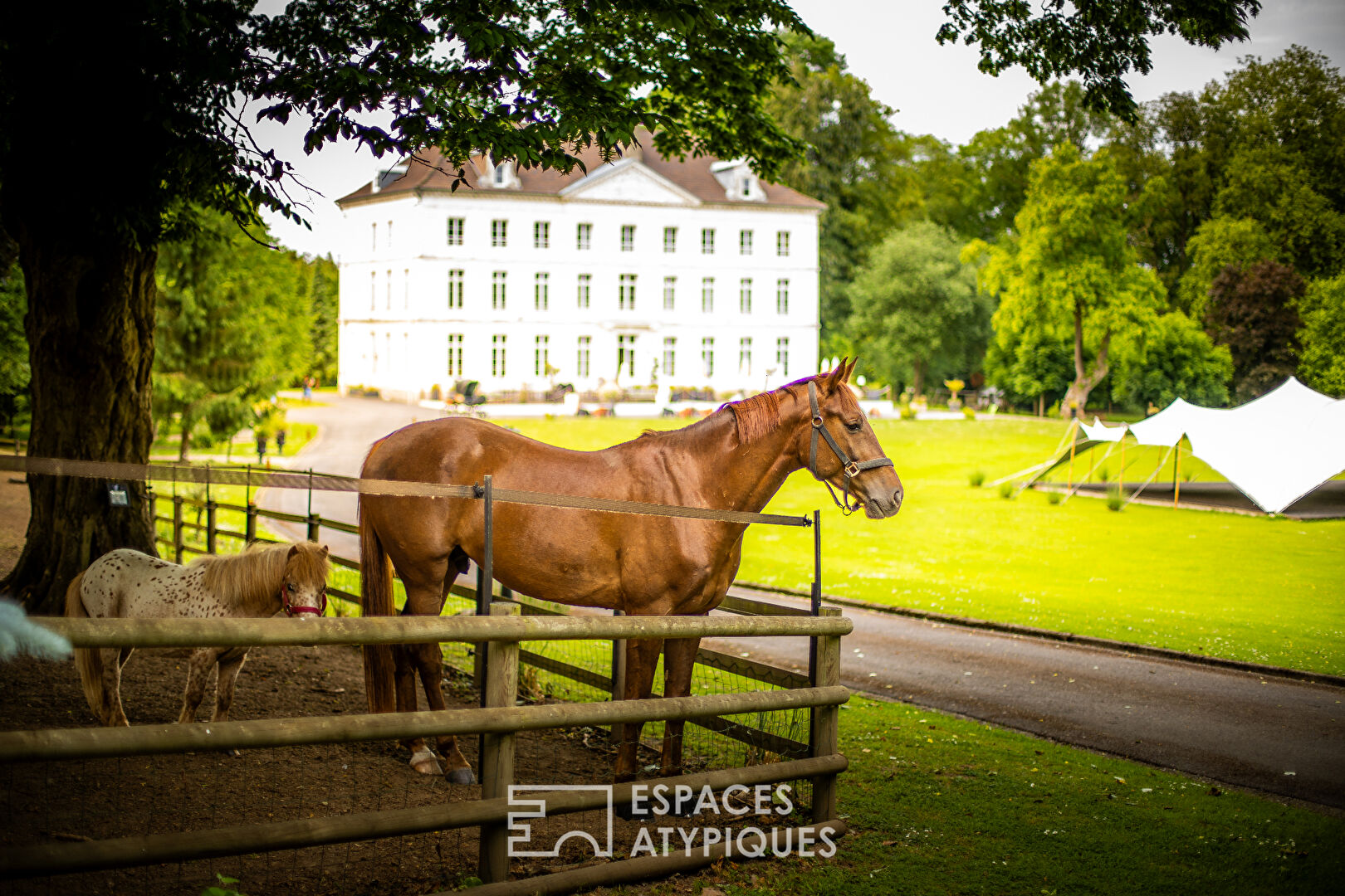 Magnifique château événementiel – Hôtel, restaurant, mariage, séminaire, gite, piscine et spa