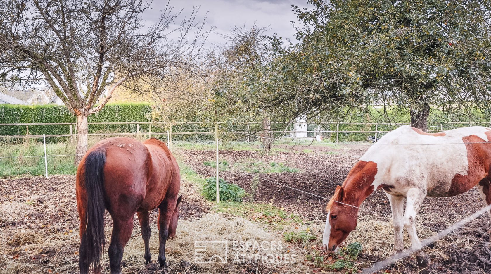 Pension équestre avec belle maison de famille