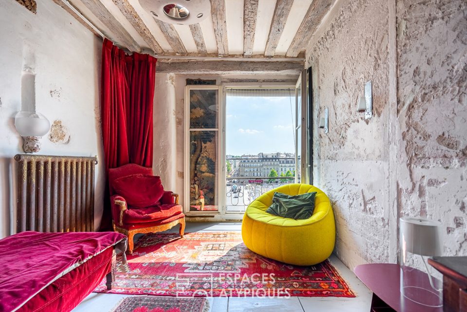 Vue Seine et âme d'artiste sur l'île Saint-Louis
