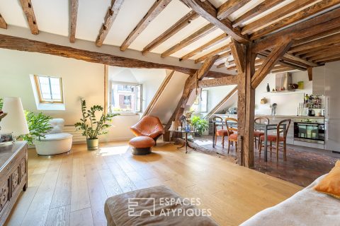 Duplex en dernier étage sous les toits Place des Vosges
