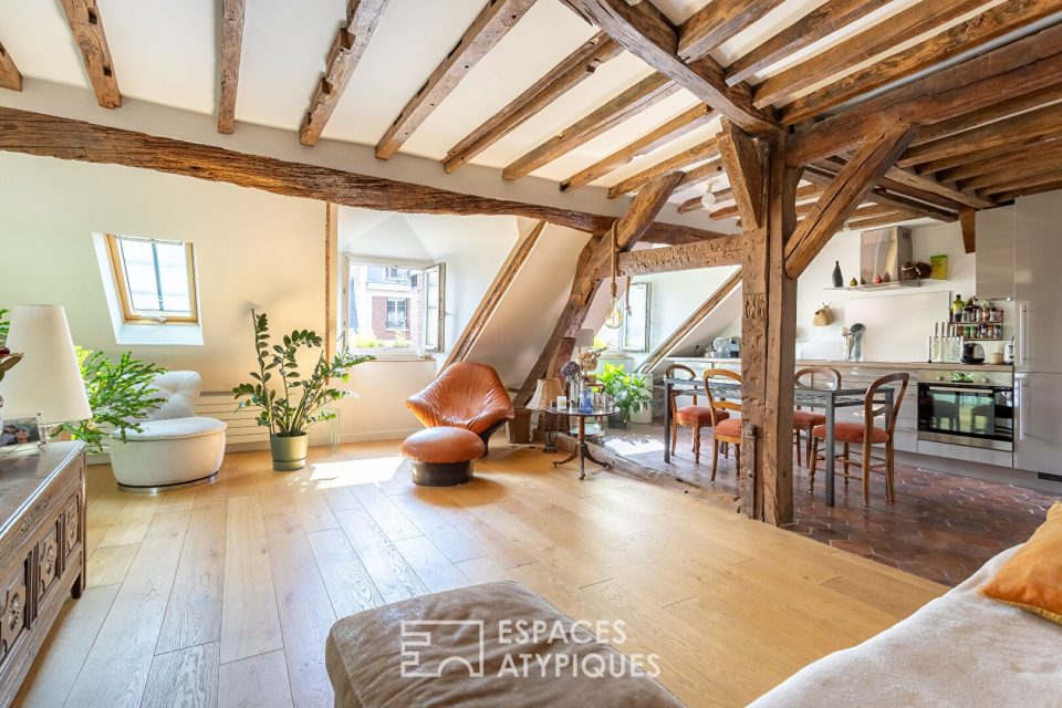 Duplex en dernier étage sous les toits Place des Vosges