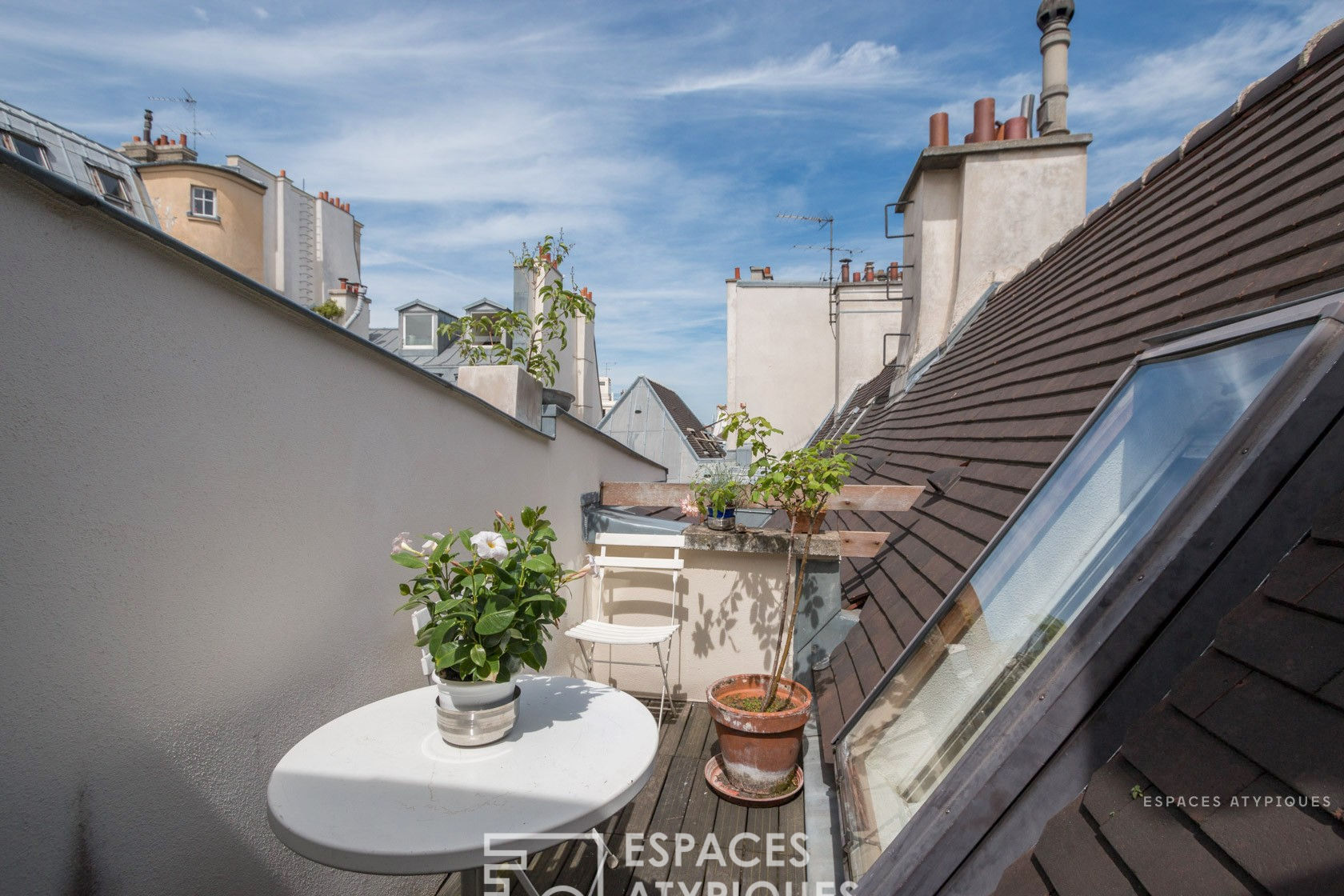 Duplex under the roofs of a private mansion