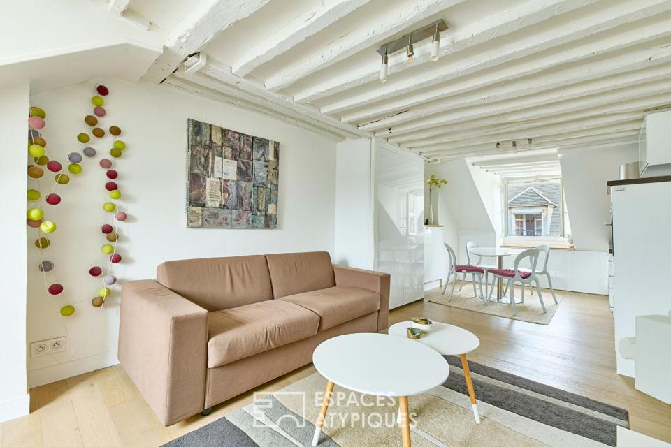 Cocon parisien avec vues sur la place du Marché Sainte-Catherine