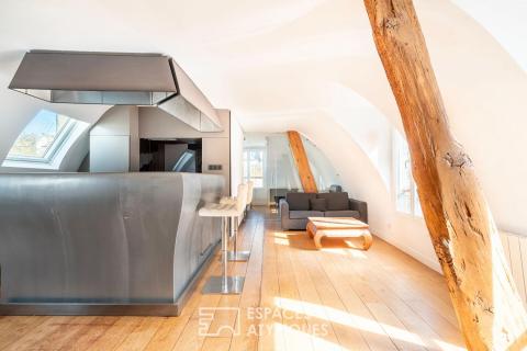 Appartement sous les toits de Paris avec vue sur la colonne de la Bastille