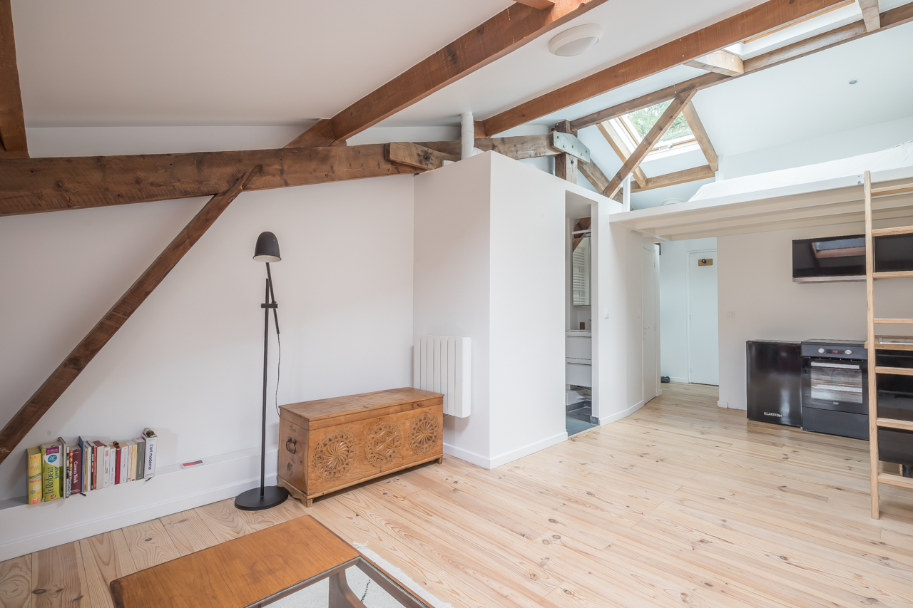 Mini-loft redesigned by architect