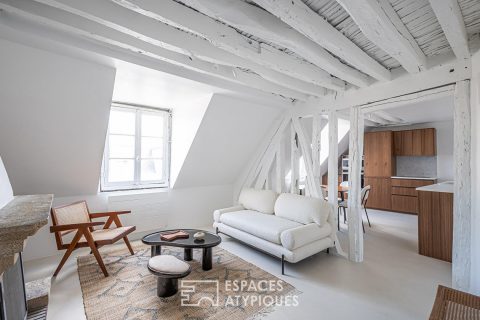 Redesigned apartment at Square du Temple