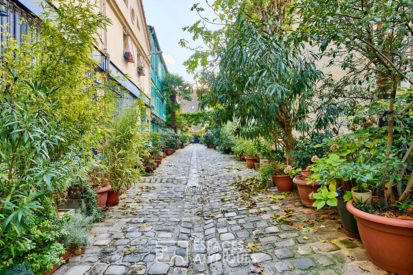 Apartment in the heart of the Cité du Figuier