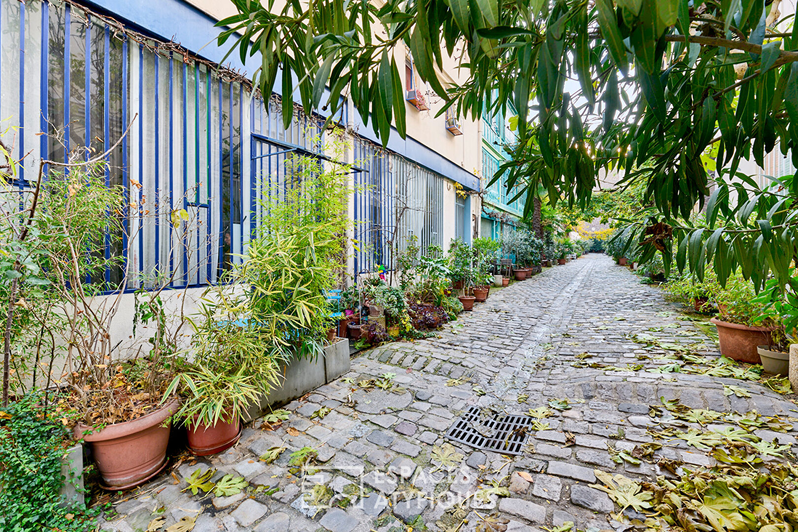 Appartement au coeur de la Cité du Figuier